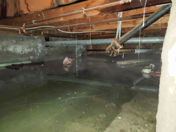 Best Flood restoration services  in Elgin, OR