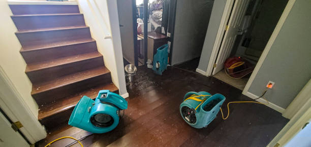Best Basement water damage restoration  in Elgin, OR