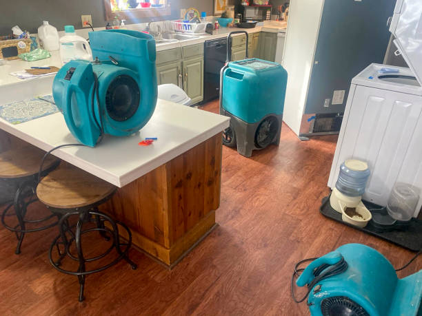 Best Mold removal after water damage  in Elgin, OR