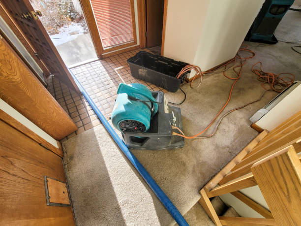 Best Flood damage cleanup  in Elgin, OR