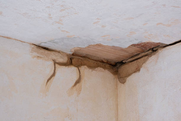 Best Water damage cleanup near me  in Elgin, OR