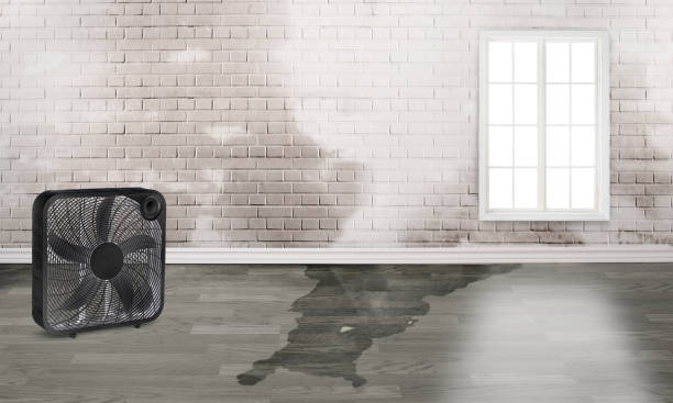 Best Ceiling water damage repair  in Elgin, OR