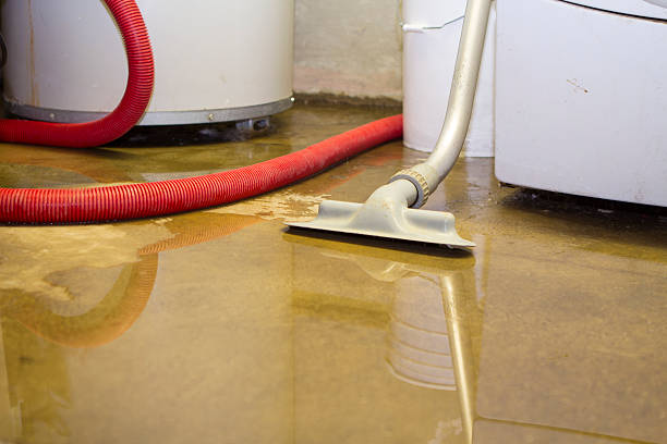 Best Carpet water damage restoration  in Elgin, OR