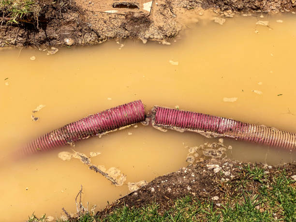 Best Water damage restoration near me  in Elgin, OR