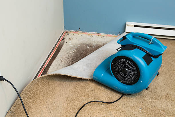  Elgin, OR Water damage restoration Pros